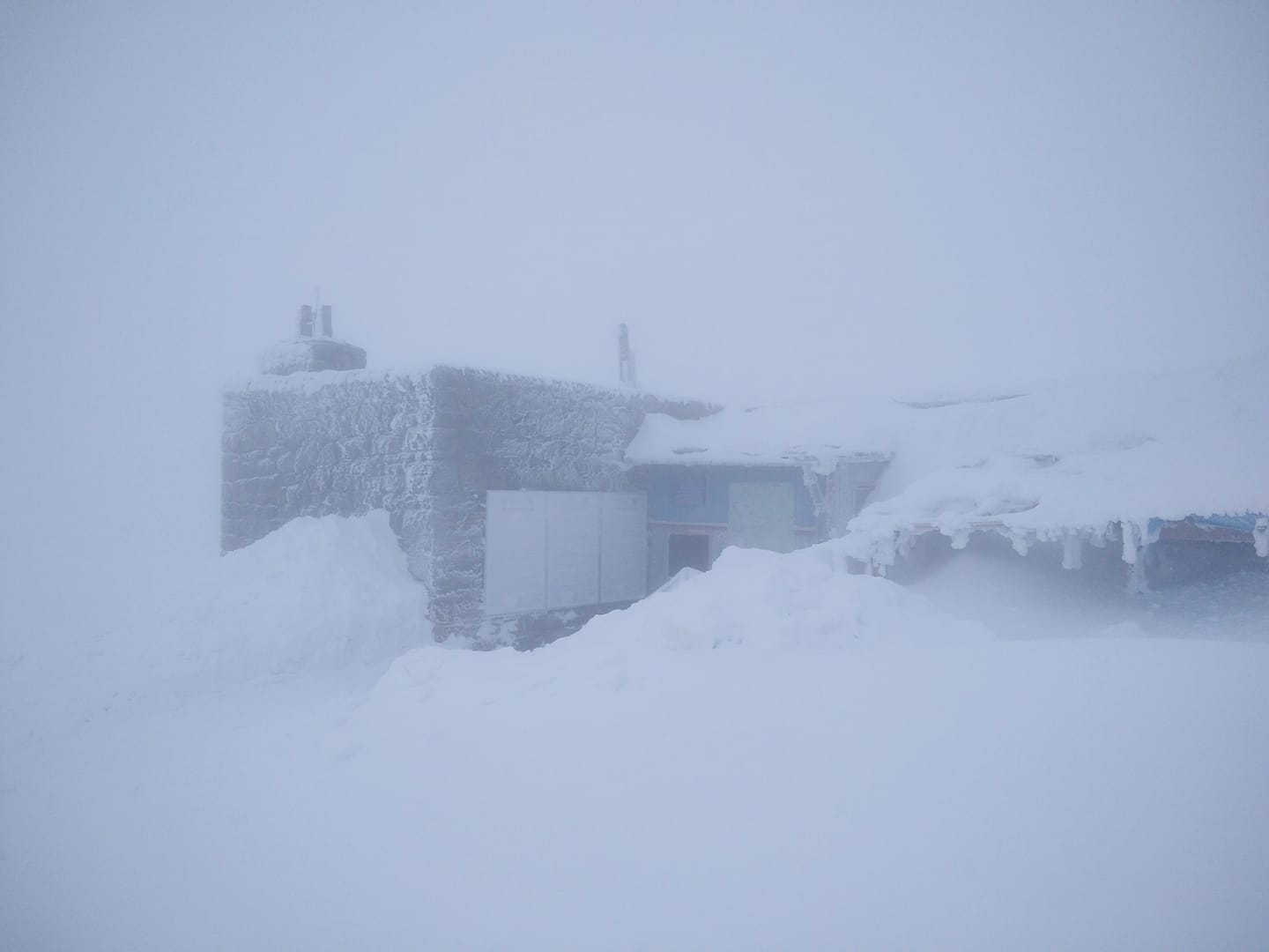 Частину України засипало снігом: з'явилися фото